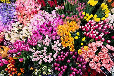 《最后的生还者：重制版》“利用感官”宣传片 现已发售