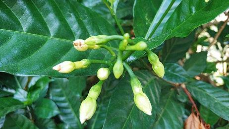 《解限机》公测前瞻直播速览，重塑机甲对战新纪元