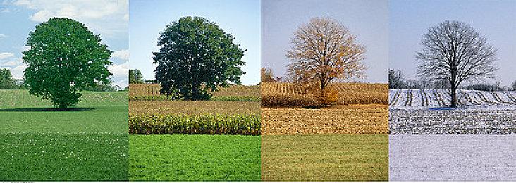 TGA获奖作品《奇妙逃亡》下周登陆PS和Switch